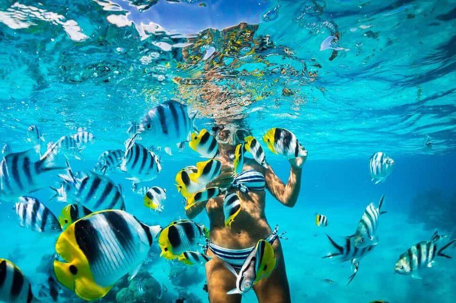 Catalina Island Full-Day Snorkeling + Lunch from Punta Cana - The best part comes after the long road to Catalina