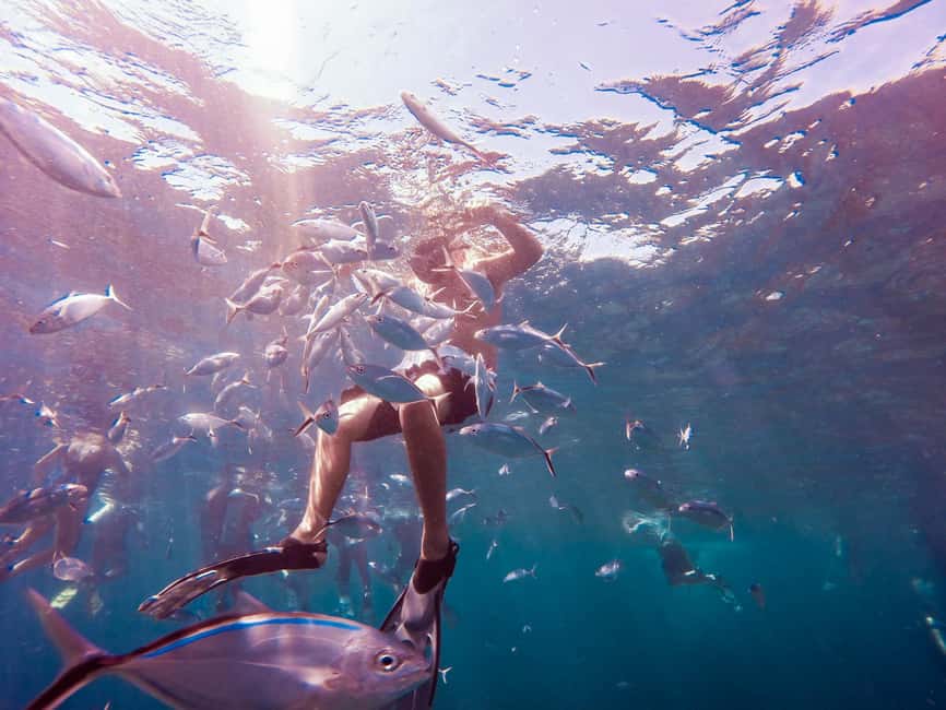 Catalina Island Full-Day Snorkeling + Lunch from Punta Cana - Jireh Souvenirs adds a shopping stop
