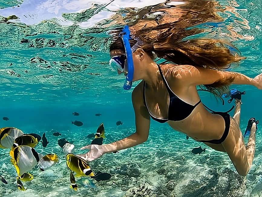 Catalina Island Full-Day Snorkeling + Lunch from Punta Cana - Lunch is a useful part of the $98 package