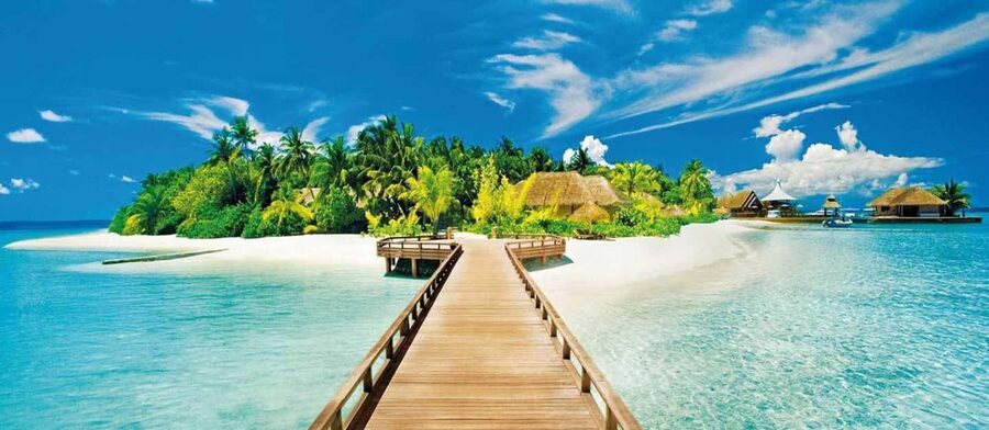 Catalina Island Full-Day Snorkeling + Lunch from Punta Cana - Music and culture may be part of the beach stop