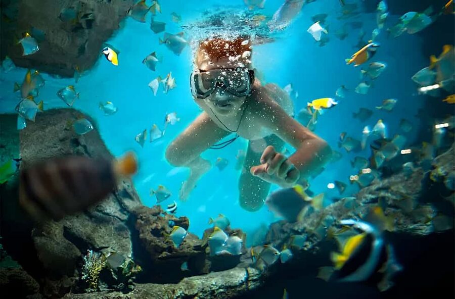 Catalina Island Full-Day Snorkeling + Lunch from Punta Cana - Pickup from Punta Cana can shape the whole day