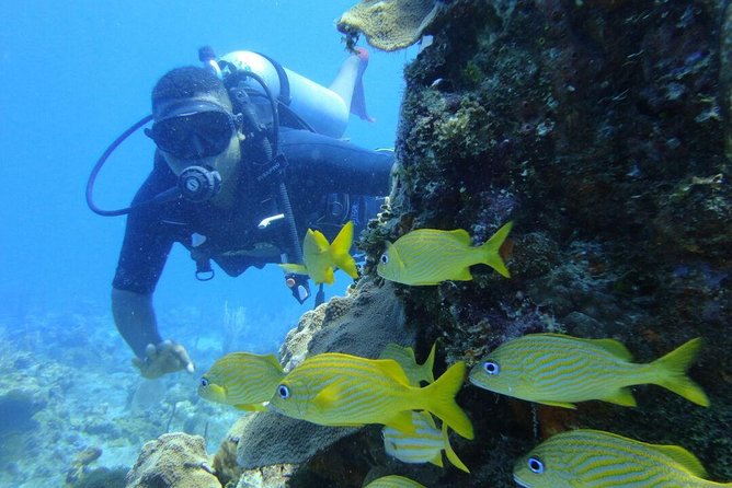 Catalina Island Scuba Diving and Snorkeling Tour from Punta Cana - Boarding the catamaran in La Romana