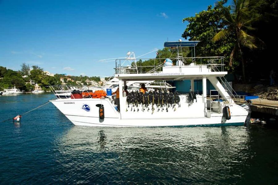 Catalina Island Scuba Diving Tour from Punta Cana - Two Catalina Sites, One Very Long Day