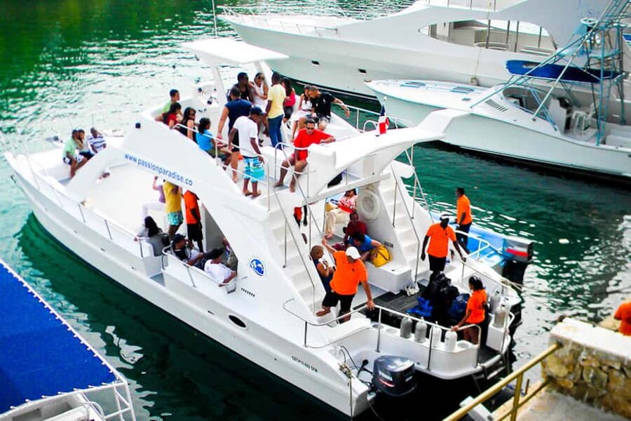 Catalina Island Scuba Diving Tour from Punta Cana - The Wall on Catalina’s East Side