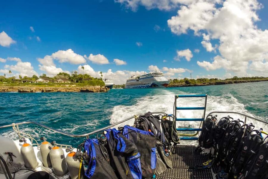 Catalina Island Scuba Diving Tour from Punta Cana - A Dominican BBQ on a Private Catalina Beach