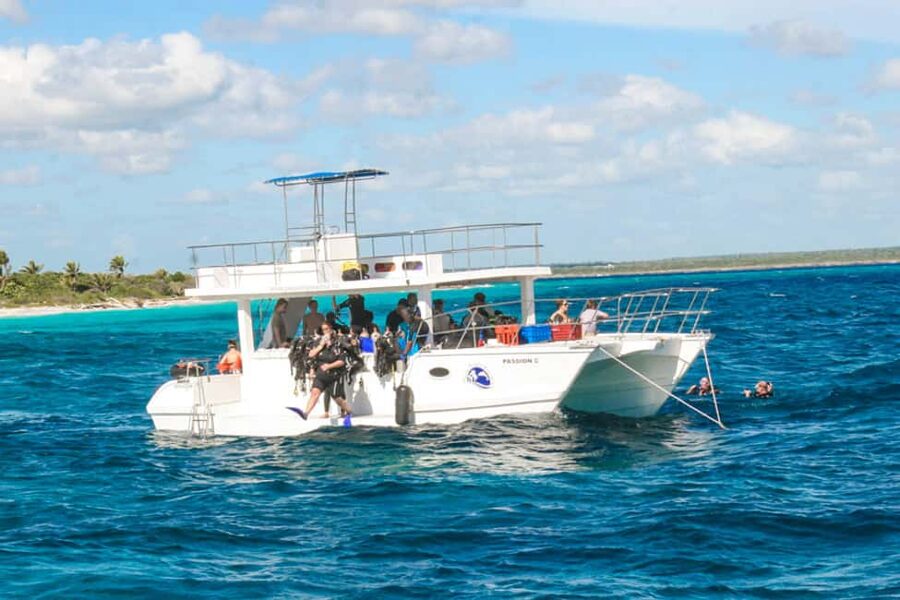 Catalina Island Scuba Diving Tour from Punta Cana - Equipment and Safety: Ask Before You Book