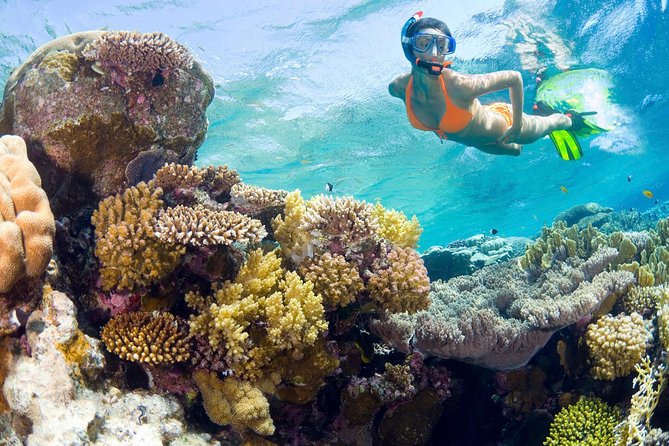 Catalina Island Snorkel Excursion from Punta Cana - Key points to know before booking