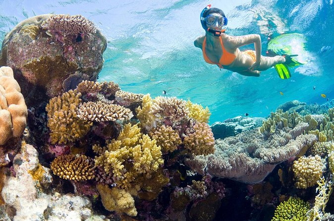 Catalina Island Snorkel Excursion from Punta Cana - The real appeal: Catalina’s water and beach