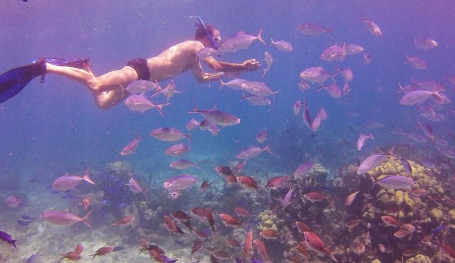Catalina Island snorkeling Dominican Republic - Snorkeling at The Wall and the coral reef