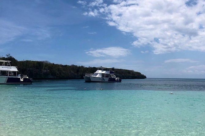 Catalina Island Snorkeling: Explore its Crystal Clear Waters - Is $71.25 a fair price?