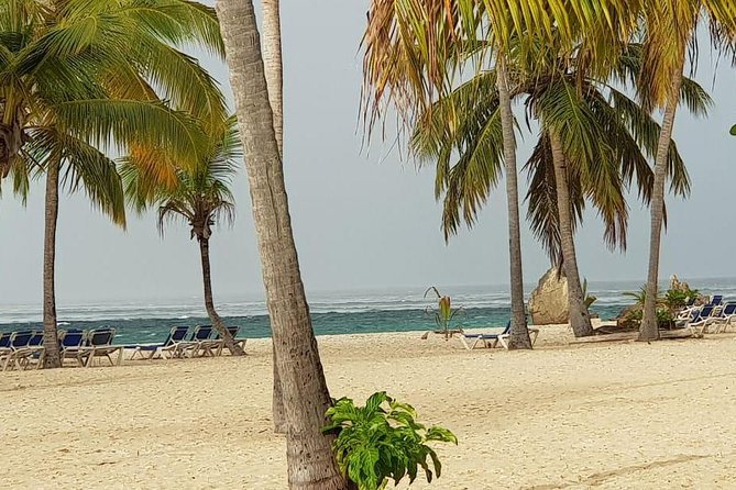 Catalina Island Snorkeling: Explore its Crystal Clear Waters - The 7:00 am start from Punta Cana