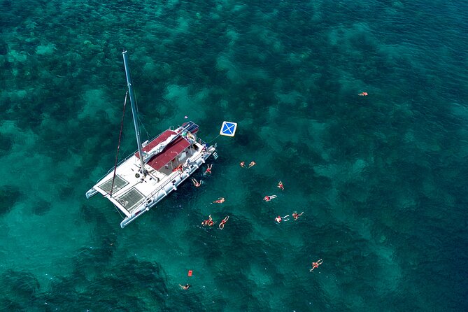 Catalina Island & Snorkeling Paradise From Punta Cana - A BBQ buffet with Dominican sides