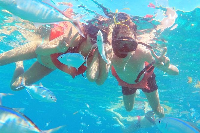 Catalina Island & Snorkeling Tour - Buffet lunch, drinks, and Dominican music