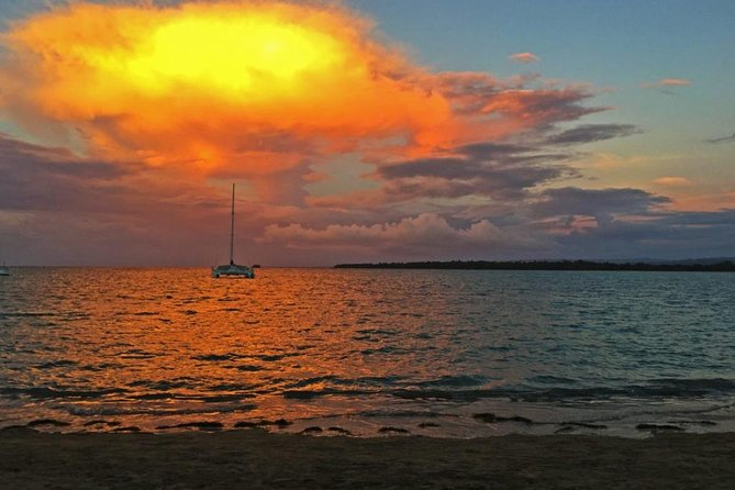 Catalina Island & Snorkeling Tour - How the timing affects the value
