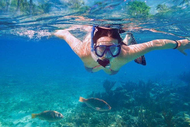 Catalina Island & Snorkeling Tour - Who will enjoy this Catalina outing