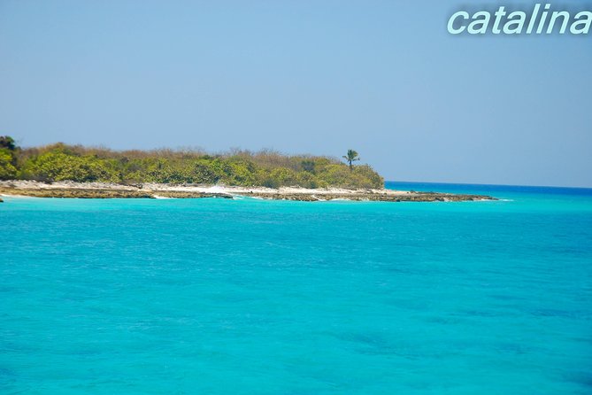 Catalina Island & Snorkeling Tour - The Wall and Catalina’s coral water