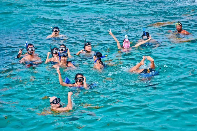 Catalina Island & Snorkling Tour Full Day All Inclusive - Key points to know before you book