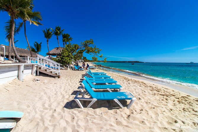 Catalina Island Tour - A full day from Punta Cana to Catalina Island