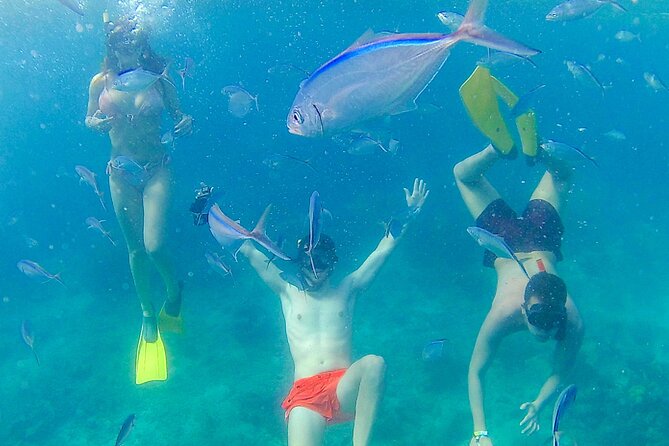 Catalina Island with Altos de Chavon - Full Day All Inclusive - Is $110 a fair price?