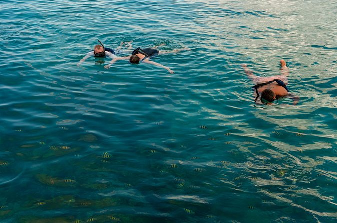 Catalina Sailing Experience in Punta Cana with Food and Drinks - Weather, cancellations, and booking care