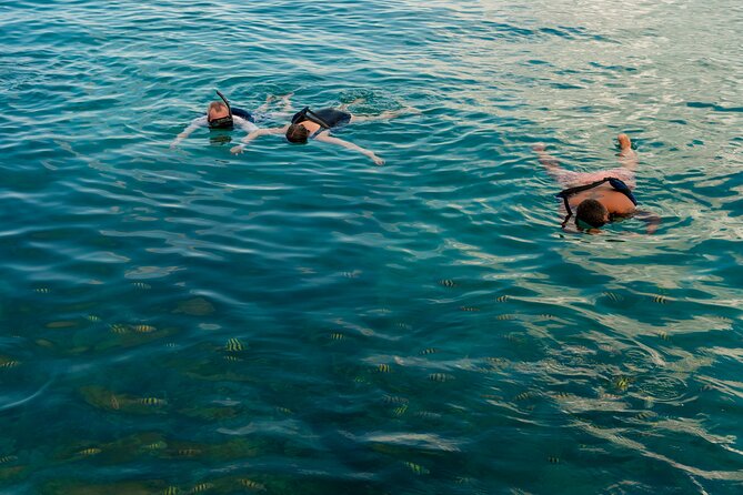 Catalina Sailing Experience in Punta Cana with Food and Drinks - Should you book the Catalina sailing experience?