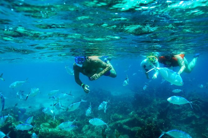 Catamaran Booze Cruise And Snorkeling Punta Cana - Adults Only - Key points before you book