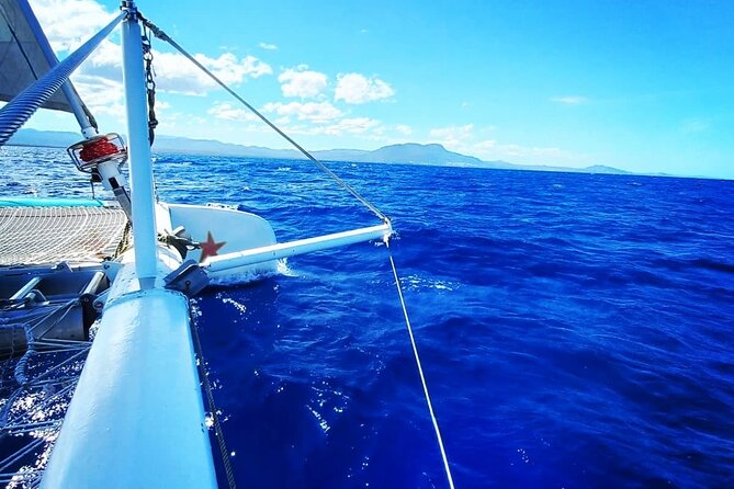 Catamaran Day Trip, Snorkeling & Sailing Excursion - Practical advice for a better day
