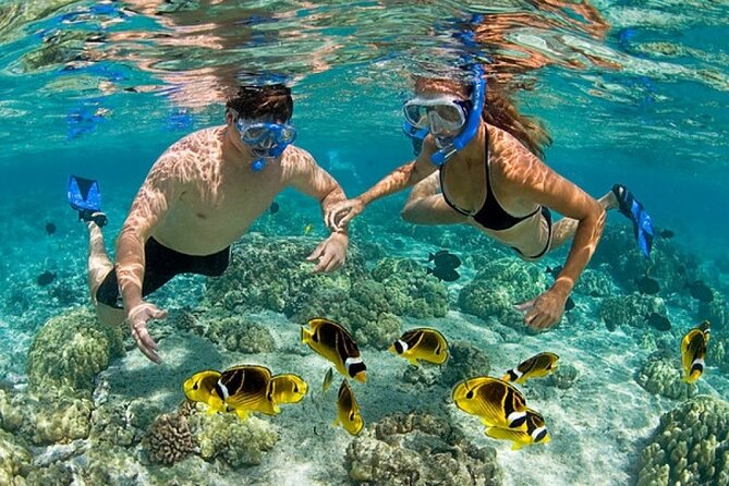 Catamaran Party in Punta Cana Includes Drink and Transportation - What the $69 Punta Cana boat party is really like