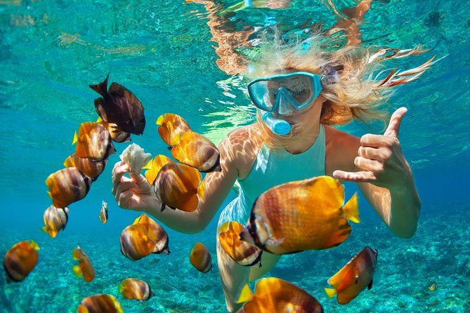 Catamaran Snorkeling All-Inclusive Day-Trip - Two Snorkeling Stops, One Long Day at Sea