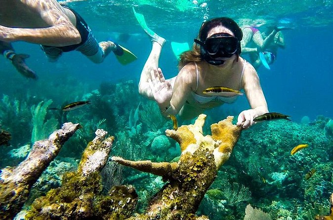 Cayo Arena Day Trip from Puerto Plata - The reliability questions you should consider