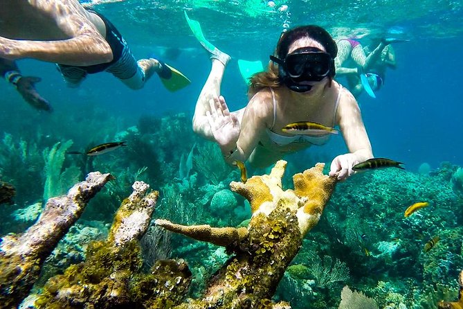 Cayo Arena Day Trip from Puerto Plata - Who should book this Cayo Arena trip