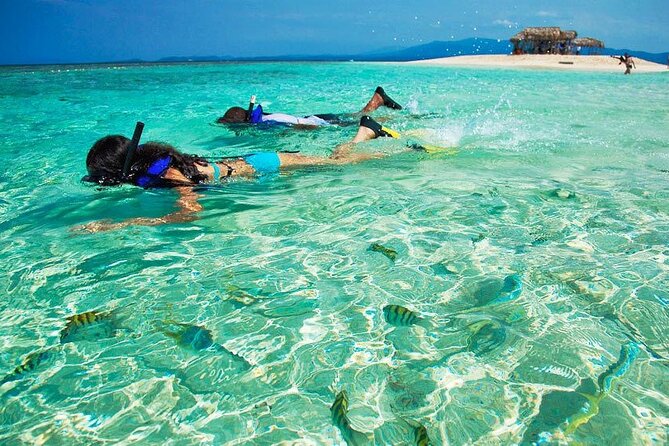 Cayo Arena Exclusive Tour with Lunch - Mangroves and the national park