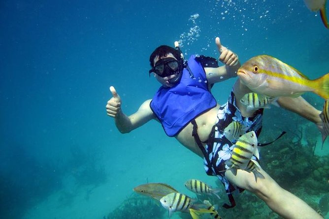 Cayo Arena Exclusive Tour with Lunch - A catamaran ride with history along the coast