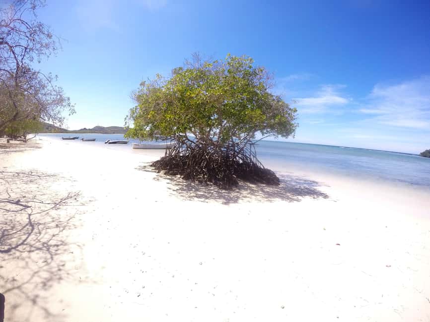 Cayo Arena: Paradise Island and Mangroves Tour - Cayo Arena and Monte Cristi at a glance