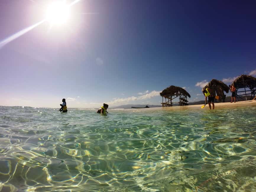 Cayo Arena: Paradise Island and Mangroves Tour - Snorkeling over coral gardens
