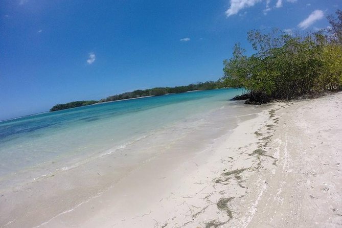 Cayo Arena, Paradise Island Tour - A short mangrove ride after the beach