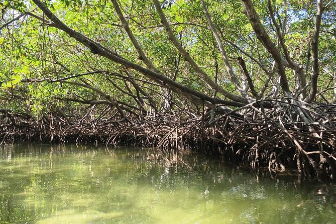 Cayo Arena, Paradise Island Tour - Lunch in Punta Rucia