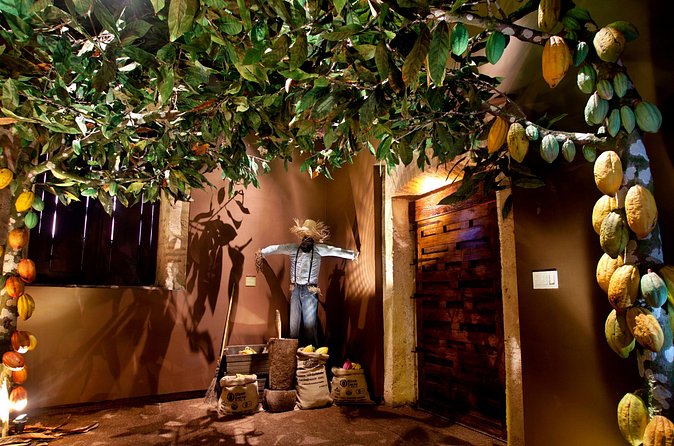 Chocolate Tour - KahKow Experience - Who should book the KahKow Experience