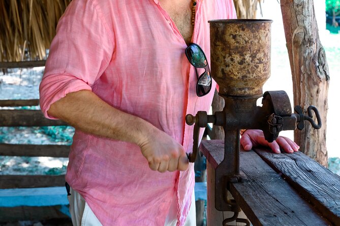 Cigar, Coffee and Mofongo Tour in Dominican Republic - Coconut Cove adds a second half to the day