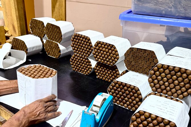 Cigar Factory Tour in Puerto Plata - Who will enjoy this most