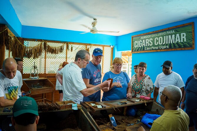 City Tour & Half-Day Safari Experiences - What $45 means in practical terms