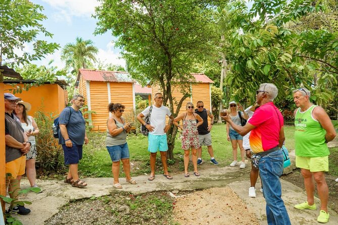 City Tour & Half-Day Safari Experiences - Booking, pickup, and cancellation details