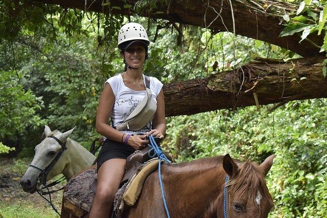 City Tour with Horseback Riding, Zipline, and Dune Buggy at the Countryside - Coffee, Cocoa, and a Family Farm in the Hills
