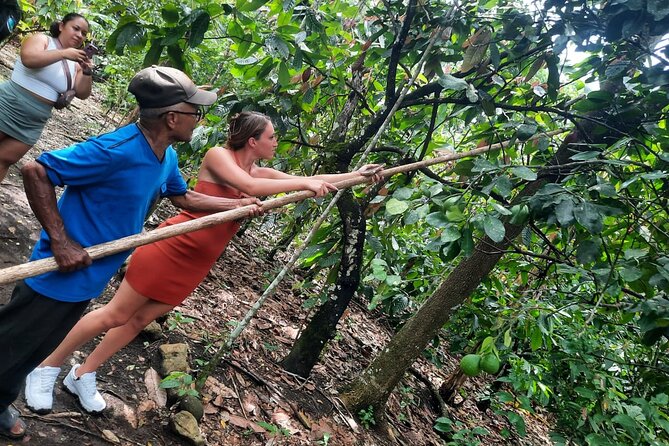 Cocoa & Artisan Chocolate Route with an Historical Tour in Puerto Plata City - Key points to know before booking