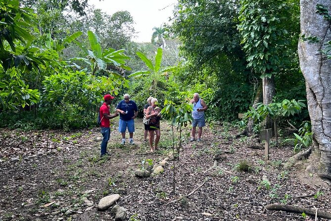 Cocoa & Artisan Chocolate Route with an Historical Tour in Puerto Plata City - Returning to Puerto Plata by 2:45