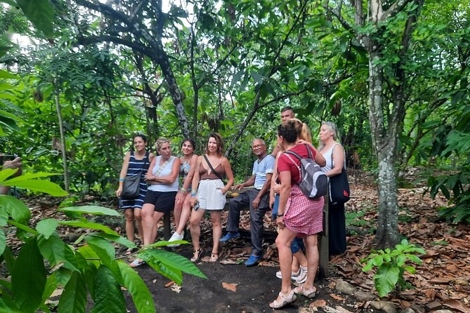 Cocoa & Artisan Chocolate Route with an Historical Tour in Puerto Plata City - The morning ride and pickup at 9:00