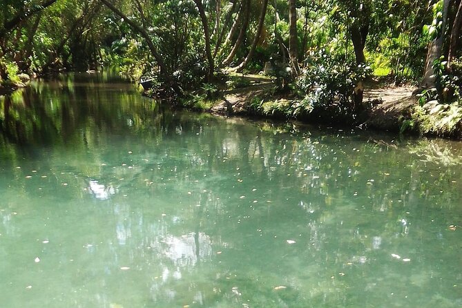 Damajagua The 7 waterfalls excursion - Amber Cove & Taino bay - Getting from Amber Cove or Taino Bay to the forest