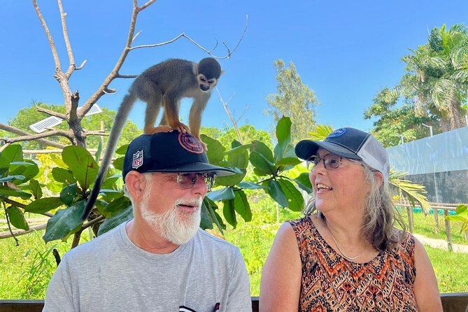 Damajagua Waterfalls and Monkey Private Van Tour - Reaching the Seven Accessible Damajagua Falls