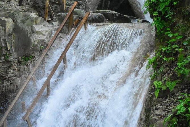 Damajagua Waterfalls and Monkey Private Van Tour - Who Will Get the Most from This Tour