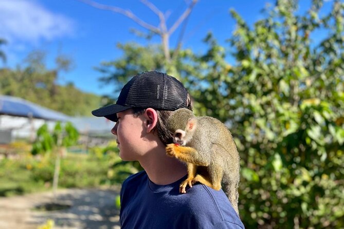 Damajagua Waterfalls and Monkey Private Van Tour - Choosing Between the Gentle Route and the Adventure Route